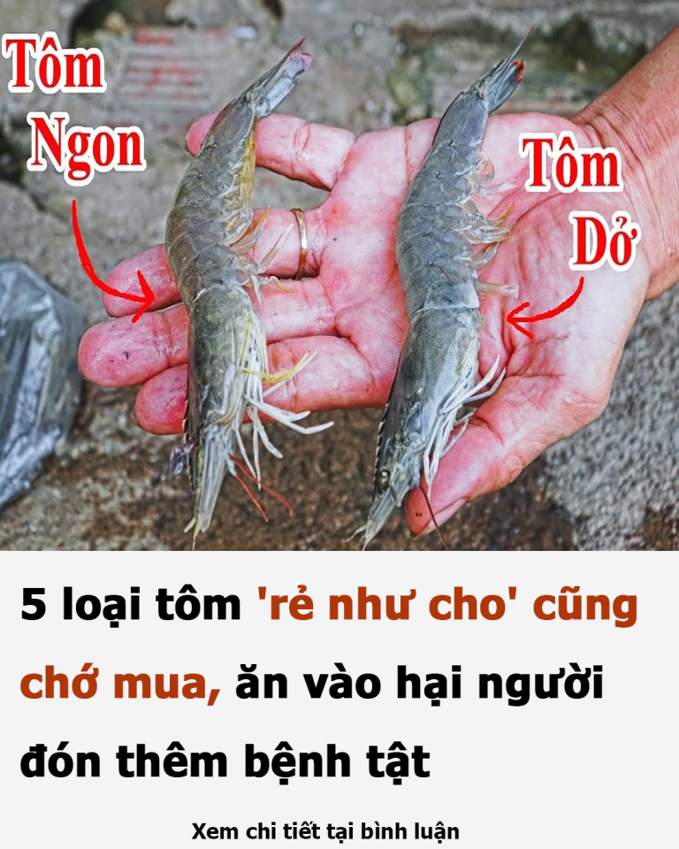 5 loại tôm ‘rẻ như cho’ cũng chớ mua, ăn vào hại người, đón thêm bệnh tật