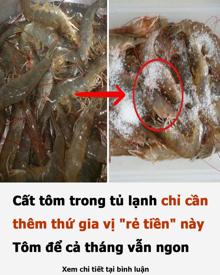 Cất tôm trong tủ lạnh chỉ cần thêm thứ gia vị “rẻ tiền” này: Tôm để cả tháng vẫn ngon