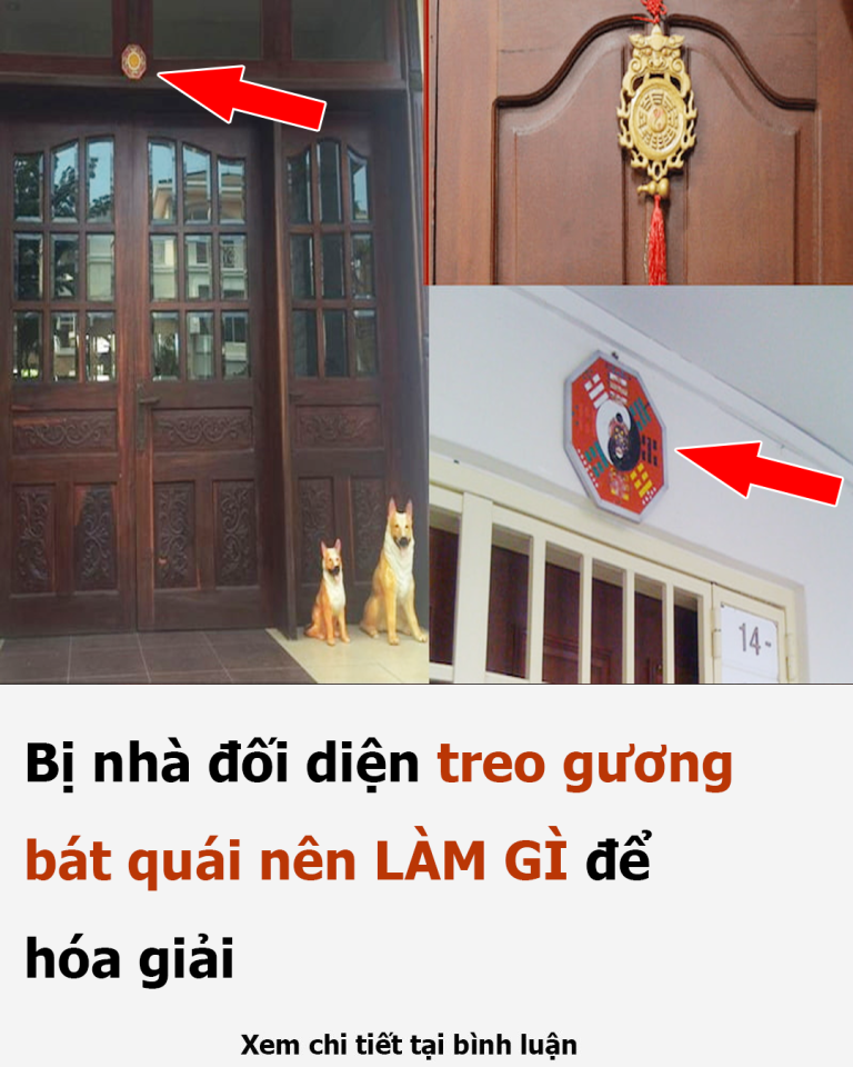 Bị nhà đối diện treo gương bát quái nên LÀM GÌ để hóa giải