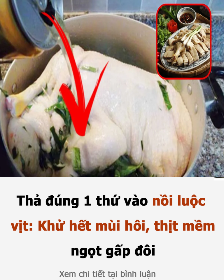 Thả đúng 1 thứ vào nồi luộc vịt: Khử hết mùi hôi, thịt mềm ngọt gấp đôi