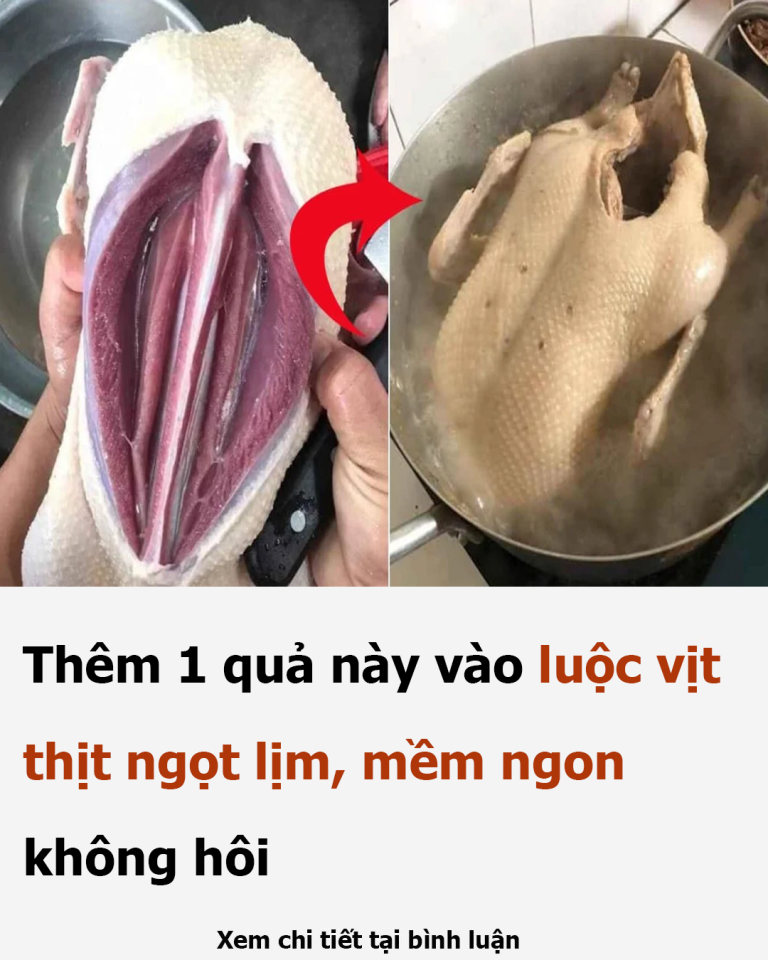 Thêm 1 quả này vào luộc vịt thịt ngọt lịm, mềm ngon không hôi