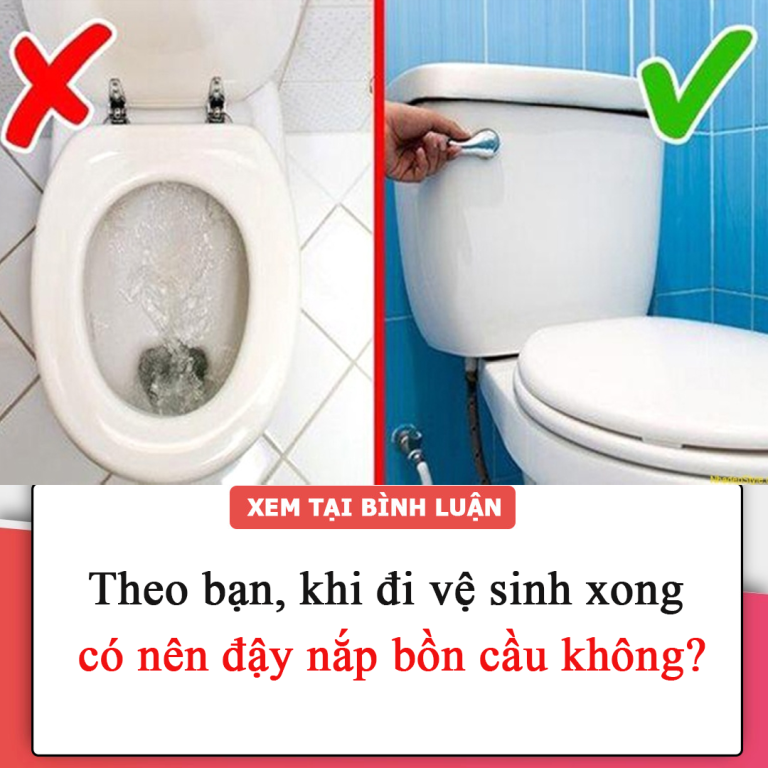 Theo bạn, khi đi vệ sinh xong có nên đậy nắp bồn cầu không?