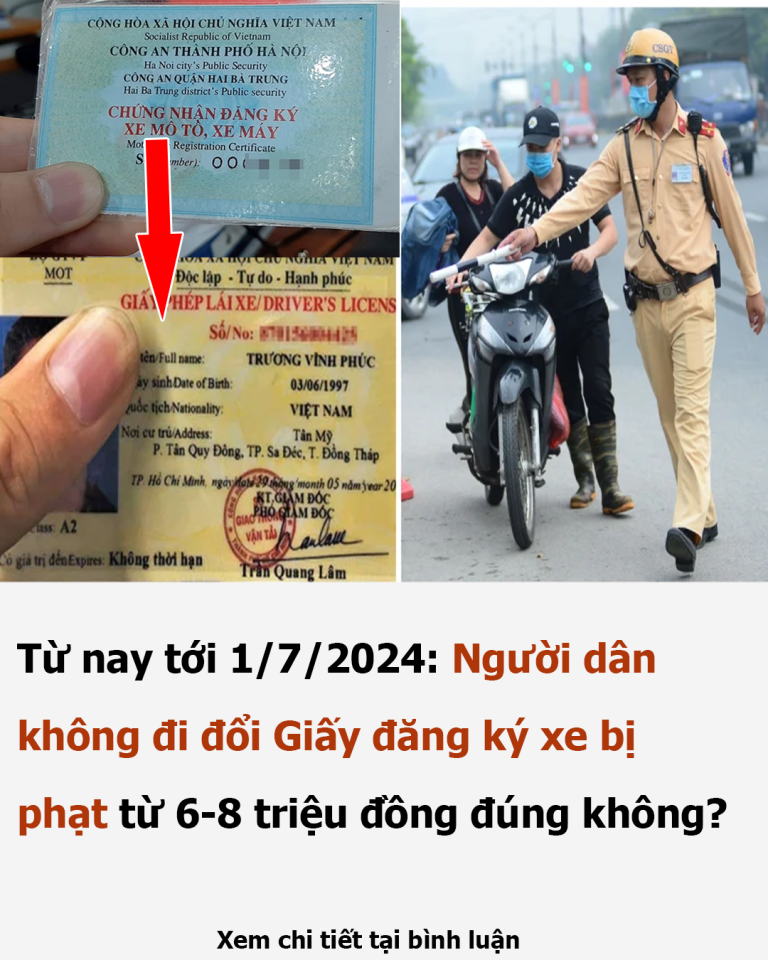 Từ nay tới 1/7/2024: Người dân không đi đổi Giấy đăng ký xe bị phạt từ 6-8 triệu đồng đúng không?