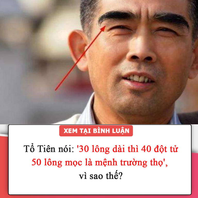 Tổ Tiên nói: ’30 lông dài thì 40 đột tử, 50 lông mọc là mệnh trường thọ’, vì sao thế?