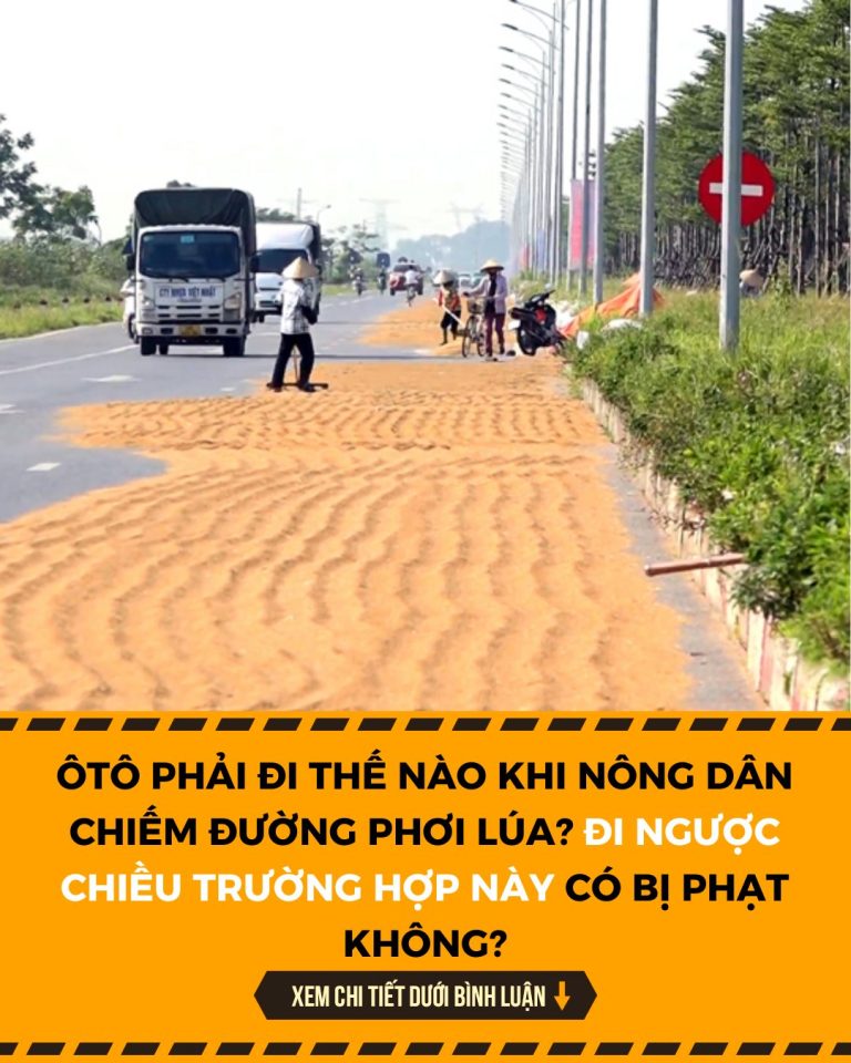 Ôtô phải đi thế nào khi nông dân chiếm đường phơi lúa? Đi ngược chiều trường hợp này có bị phạt không?