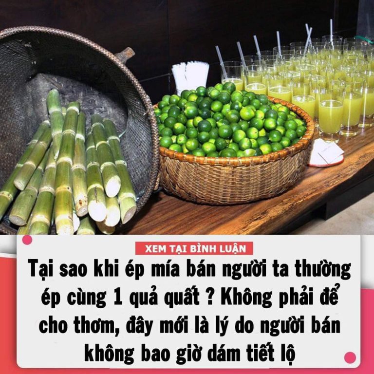 Tại sao khi ép mía bán người ta thường cho thêm 1 quả quất vào ép cùng?