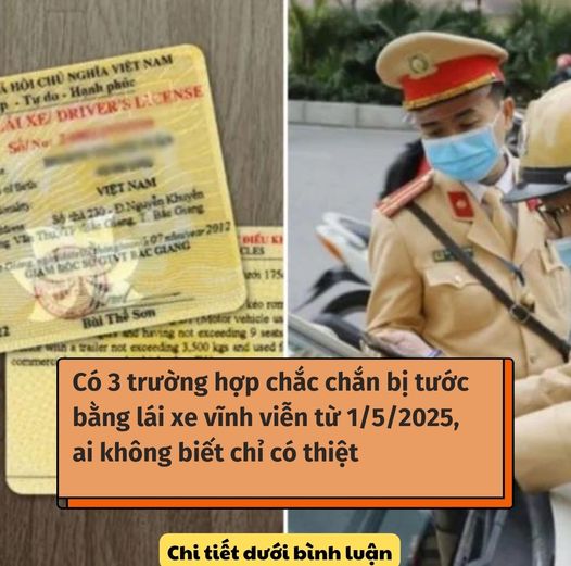 Có 3 trường hợp chắc chắn bị thu hồi giấy phép lái xe từ 1/5/2025, ai không biết chỉ có thiệt