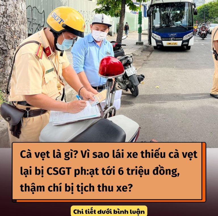 Cà vẹt là gì? Vì sao lái xe thiếu cà vẹt lại bị CSGT ph:ạt tới 6 triệu đồng, thậm chí bị tịch thu xe?