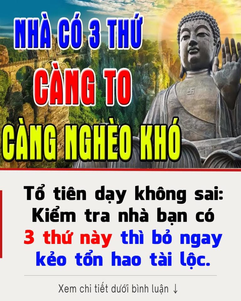 Tổ tiên dạy không sai: Kiểm tra nhà bạn có 3 thứ này thì bỏ ngay kẻo tổn hao tài lộc