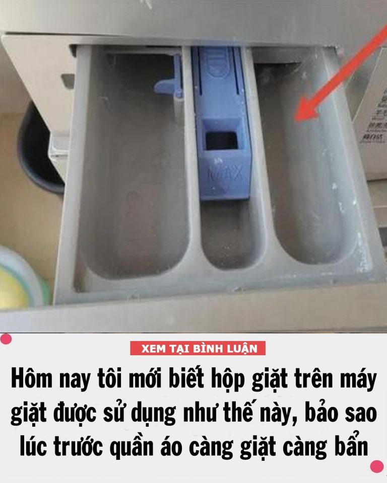 Hôm nay tôi mới biết hộp giặt trên máy giặt được sử dụng như thế này, bảo sao quần áo giặt không đủ sạch