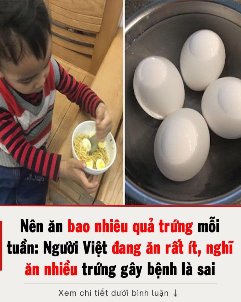 Nên ăn bao nhiêu quả trứng mỗi tuần: Người Việt đang ăn rất ít, nghĩ ăn nhiều trứng gây bệnh là sai