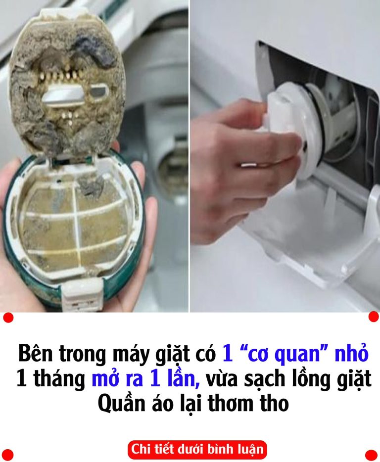 Máy giặt nào cũng có một bộ phận nhỏ này, mỗi tháng mở ra 1 lần, quần áo thơm tho, máy bền sạch hơn