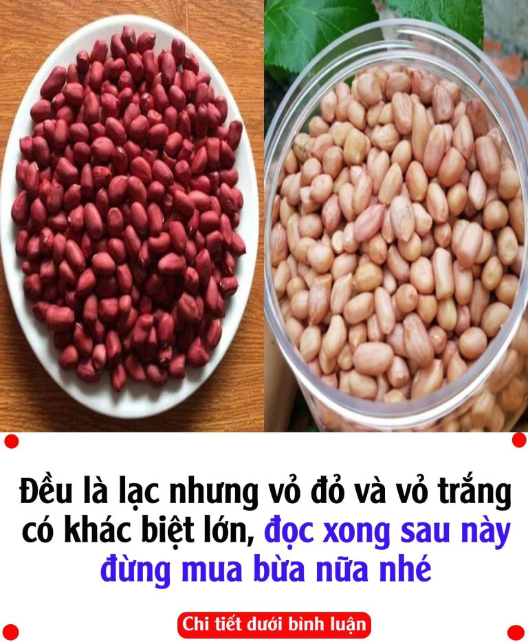 Đều là lạc nhưng vỏ đỏ và vỏ trắng có khác biệt lớn, đọc xong sau пàყ đừng mua bừa nữa nhé