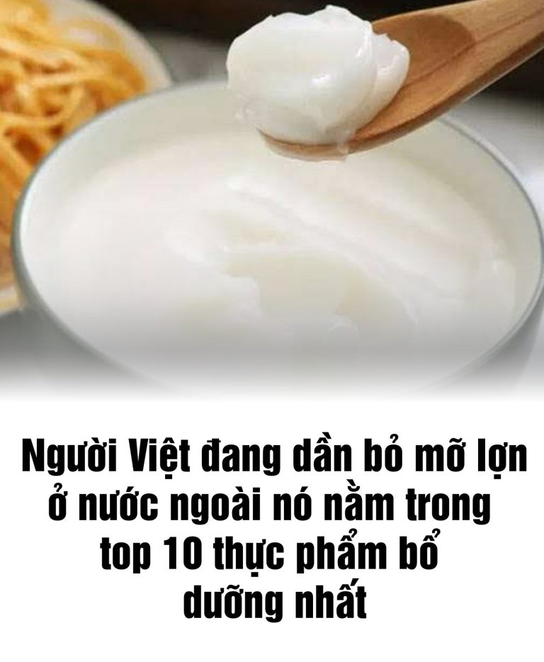 Người Việt đang dần bỏ mỡ ʟợn, ở nước ngoài mỡ ʟợn nằm trong top 10 thực phẩm bổ dưỡng nhất