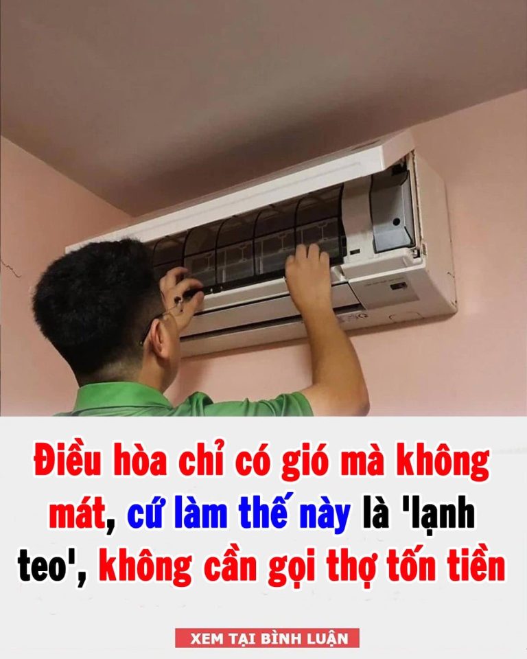 Bật điều hòa không mát, không cần gọi thợ sửa cứ làm sạch 2 bộ phận là ‘lạnh teo’, máy chạy êm ru