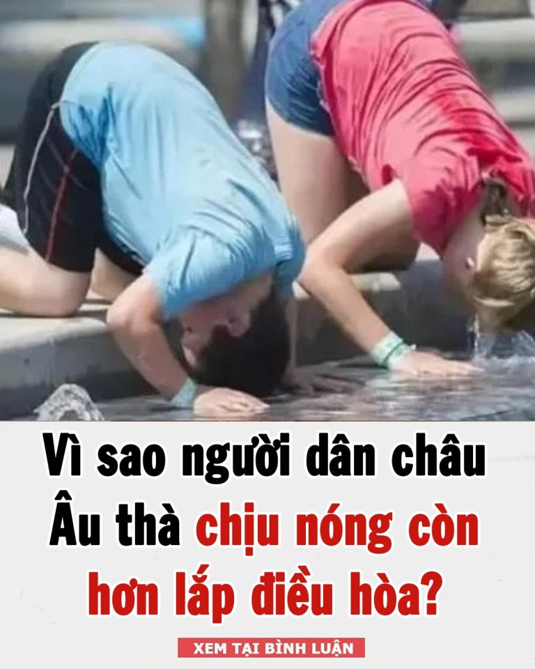 Vì sao người dân châu Âu thà chịu nóng còn hơn lắp điều hòa?