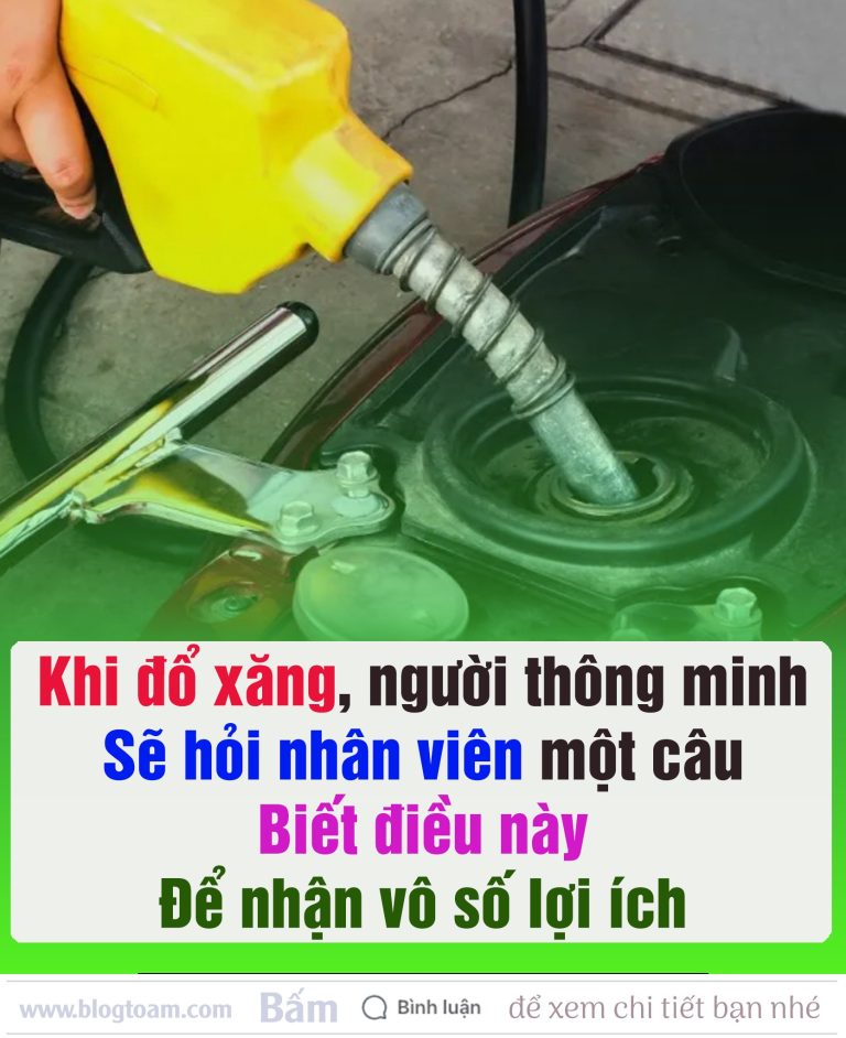 Khi đổ xăng, người thông minh sẽ hỏi nhân viên một câu: Biết điều пàყ để nhận vô số lợi ích