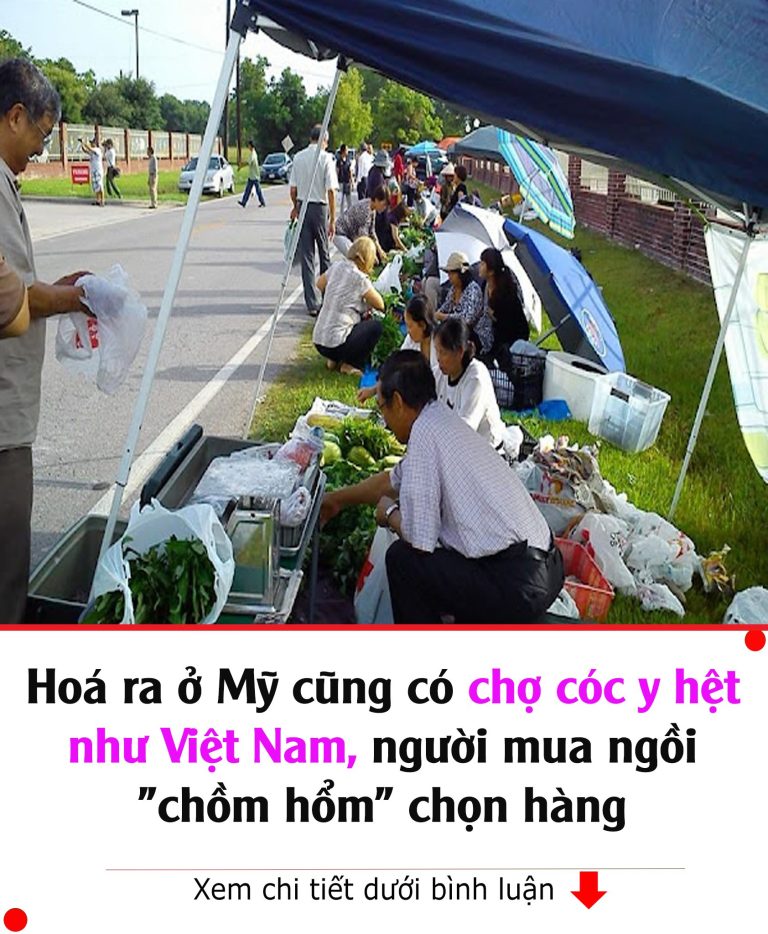 Hoá ra ở Mỹ cũng có chợ cóc y hệt như Việt Nam, người mua ngồi “chồm hổm” chọn hàng