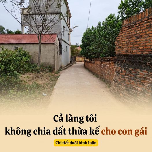 Cả làng tôi không chia đất thừa kế cho con gái