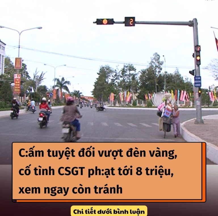 C:ấm tuyệt đối vượt đèn vàng, cố tình CSGT ph:ạt tới 8 triệu, xem ngay còn tránh