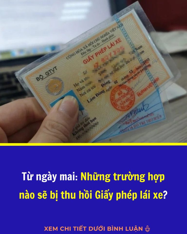 Từ ngày mai: Những trường hợp nào sẽ bị thu hồi Giấy phép lái xe?