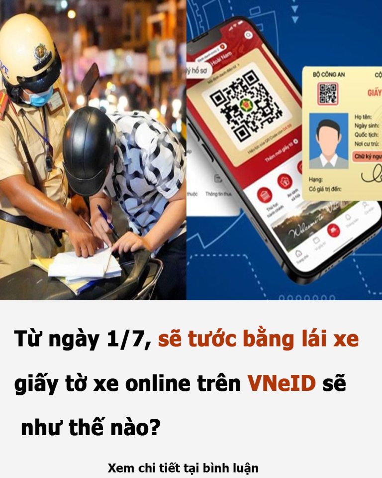 Từ ngày 1/7, sẽ tước bằng lái xe, giấy tờ xe online trên VNeID sẽ như thế nào?