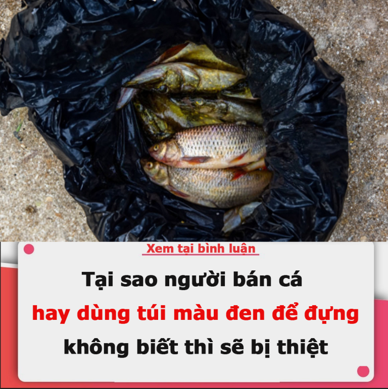 Tại sao người bán cá hay dùng túi màu đen để đựng, đi chợ lâu năm mà không biết thì sẽ bị thiệt