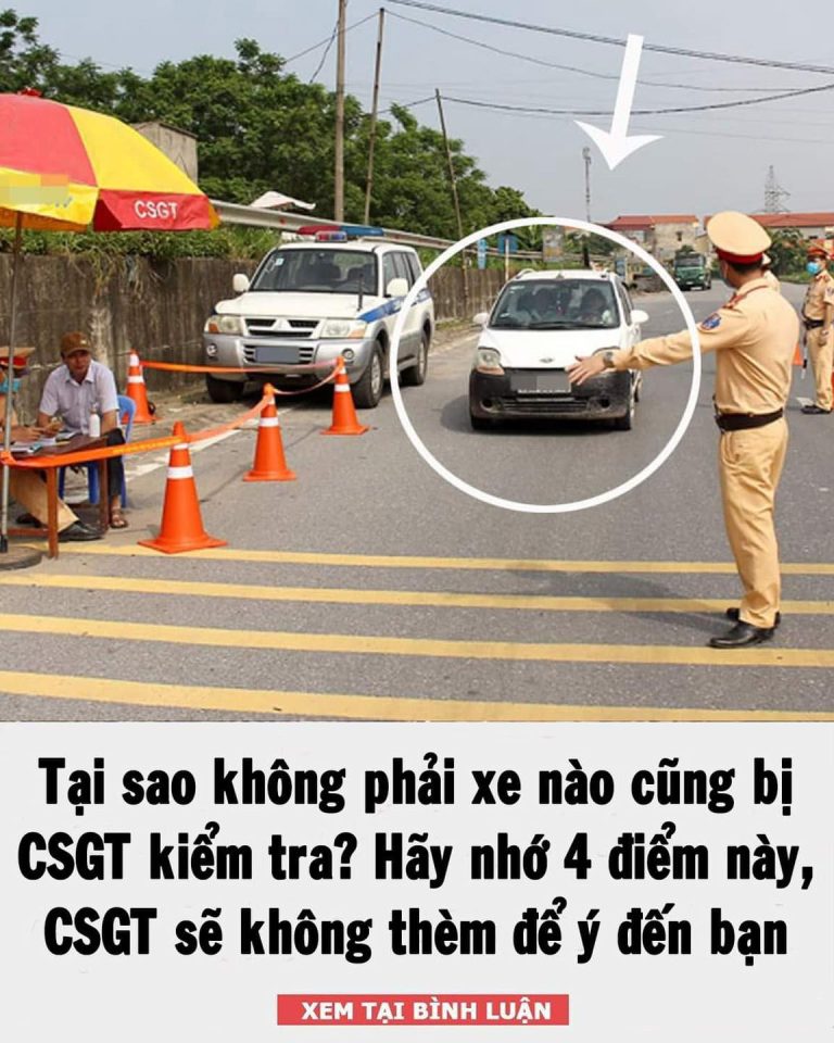 Tại sao không phải xe nào cũng bị CSGT kiểm tra? Hãy ghi nhớ 4 điểm này, cảnh sát giao thông sẽ không thèm để ý đến bạn