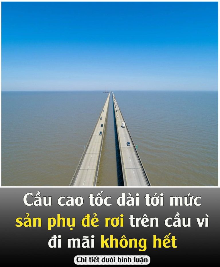 Nhiều tài xế không dám đi hết cây cầu dài nhất thế giới