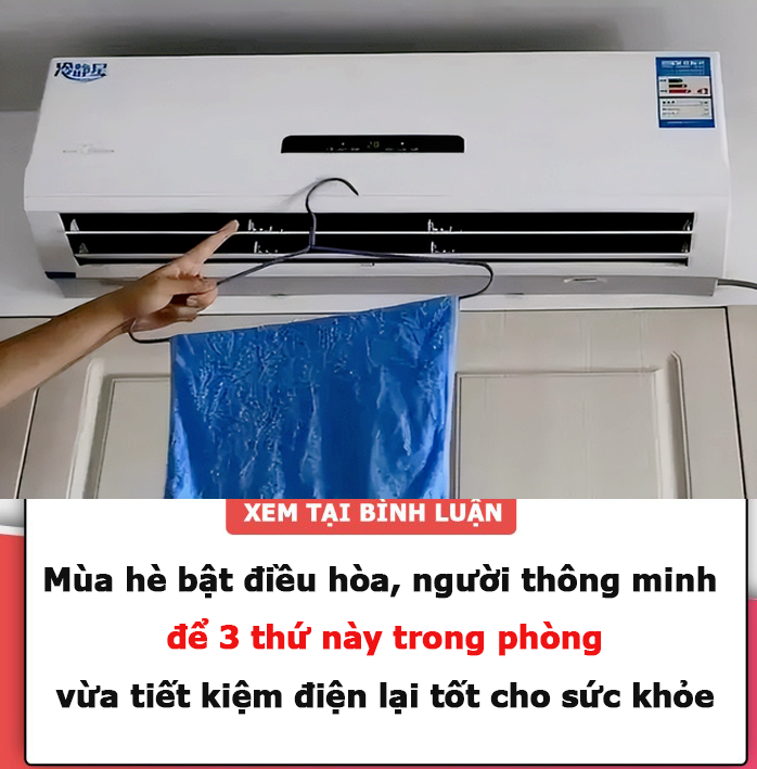 Mùa hè bật điều hòa, người thông minh để 3 thứ này trong phòng, vừa tiết kiệm điện lại tốt cho sức khỏe