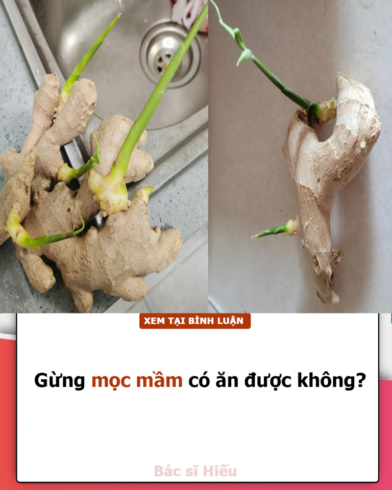 Gừng mọc mầm có ăn được không?