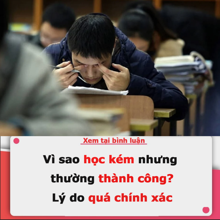 Vì sao học kém nhưng thường thành công? Lý do quá chính xác