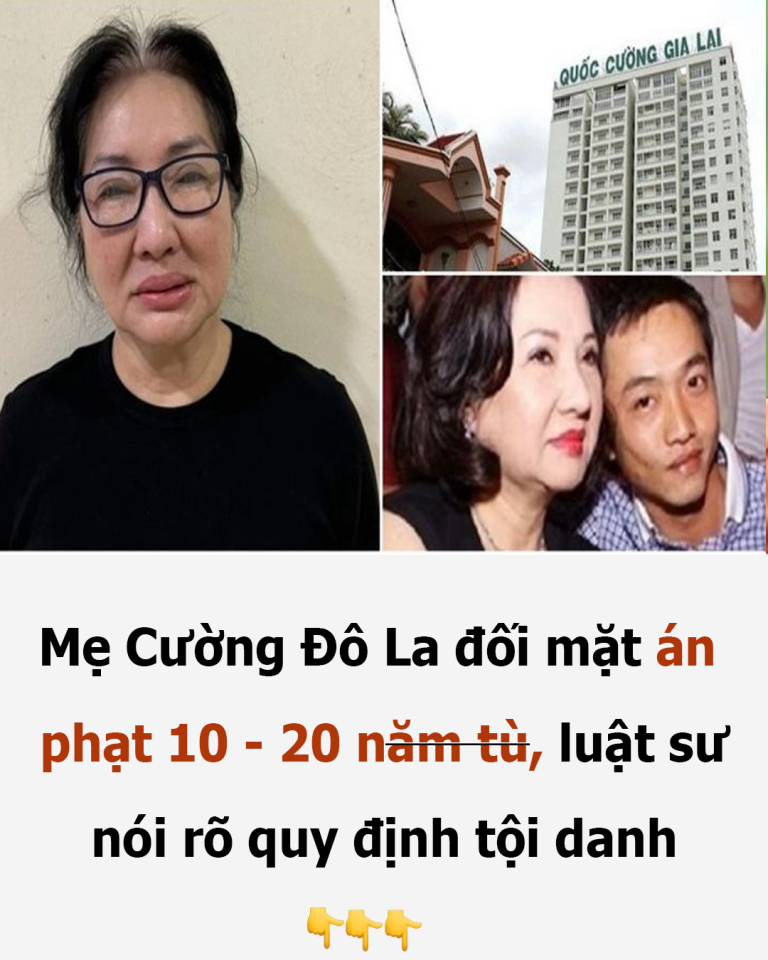 Mẹ Cường Đô La đối mặt án phạt 10 – 20 năm tù, luật sư nói rõ quy định tội danh