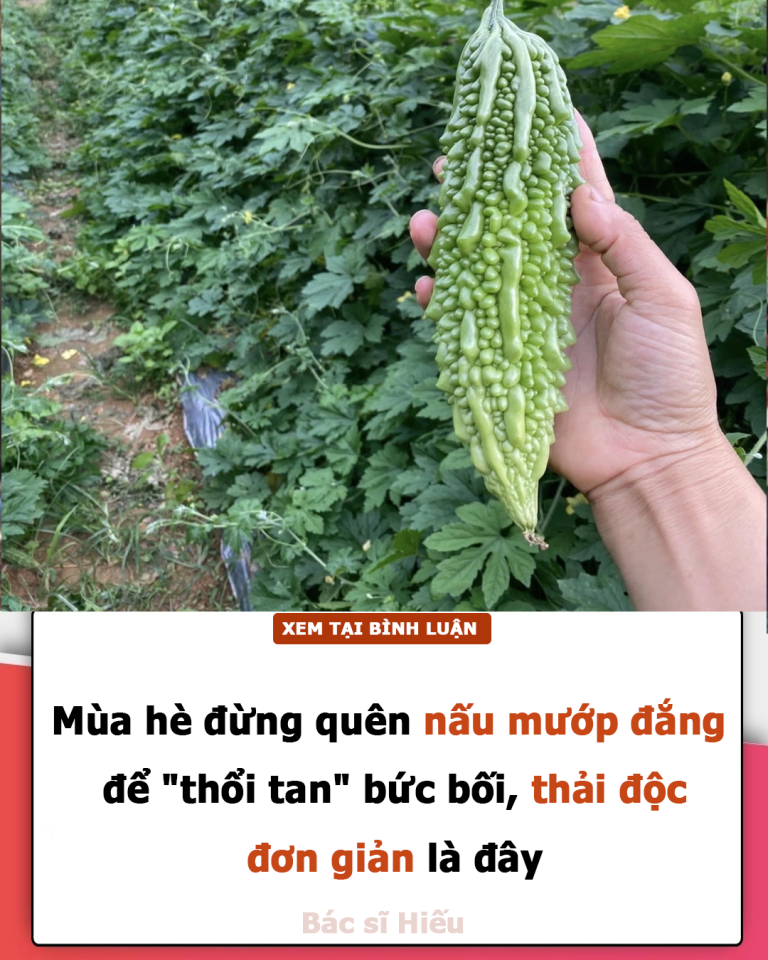 Mùa hè đừng quên nấu mướp đắng để “thổi tan” bức bối, thải độc đơn giản là đây