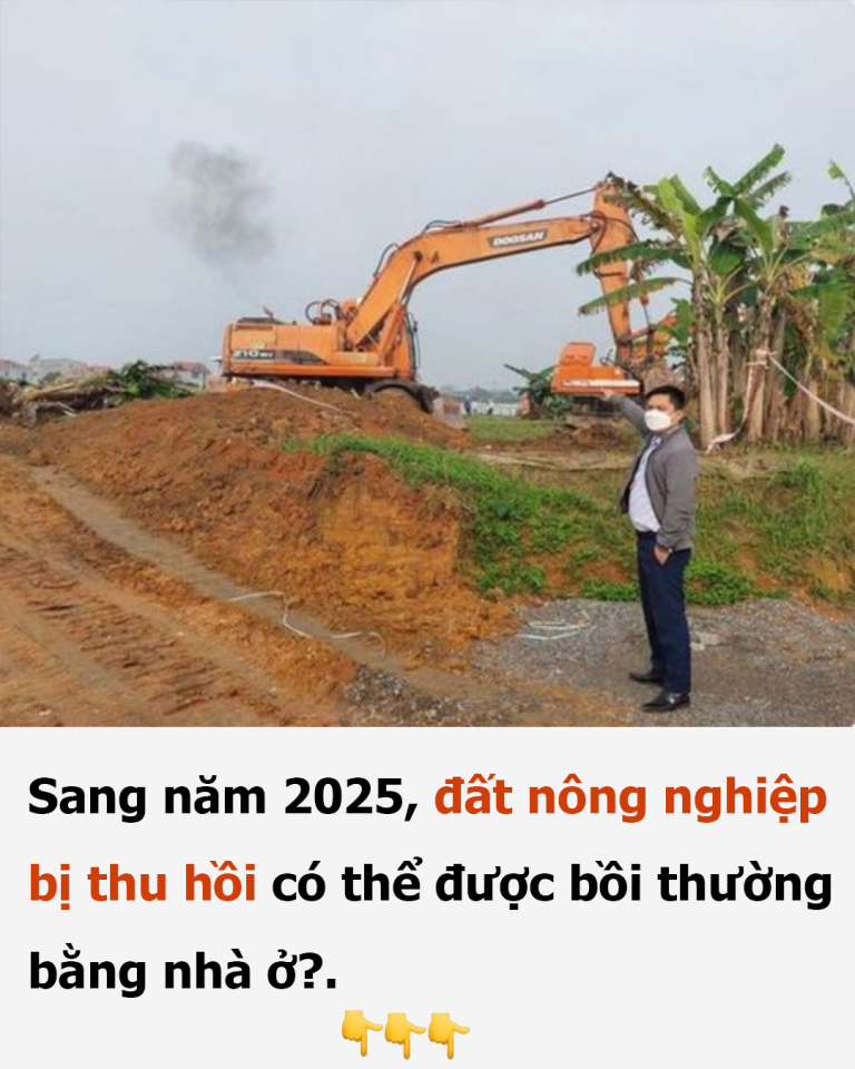 Sang năm 2025, đất nông nghiệp bị thu hồi có thể được bồi thường bằng nhà ở?.