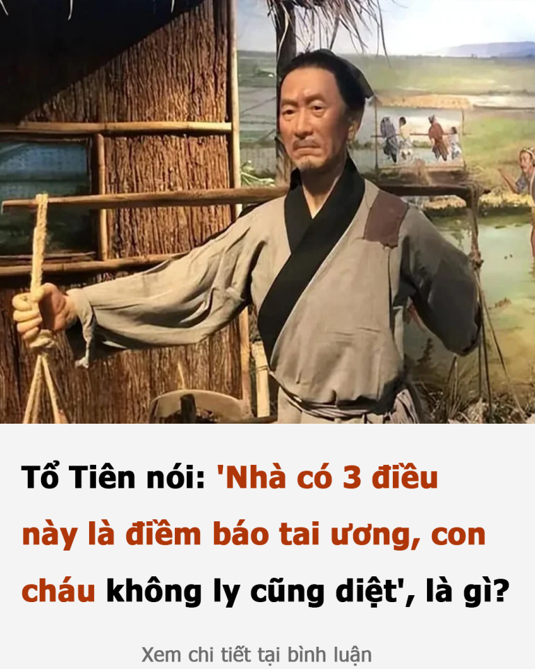 Tổ Tiên nói: ‘Nhà có 3 điều này là điềm báo tai ương, con cháu không ly cũng diệt’, là gì?