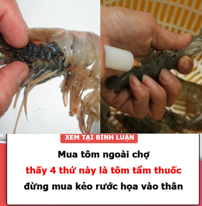 Cảnh báo! Mua tôm ngoài chợ, thấy 4 thứ này là tôm tẩm thuốc, đừng mua kẻo rước họa vào thân