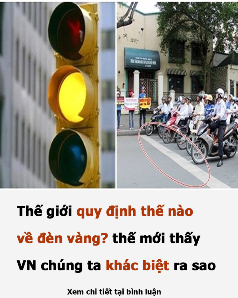 Thế giới quy định thế nào về đèn vàng? thế mới thấy VN chúng ta khác biệt thế nào