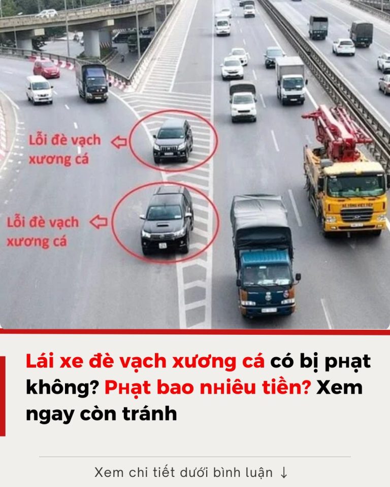 Lái xe đè vạch xương cá có bị phạt không? Phạt bao nhiêu tiền?