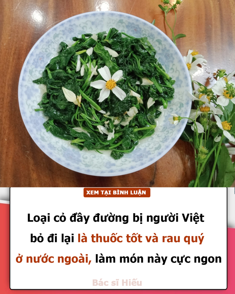 Loại cỏ đầy đường bị người Việt bỏ đi lại là thuốc tốt và rau quý ở nước ngoài, làm món này cực ngon