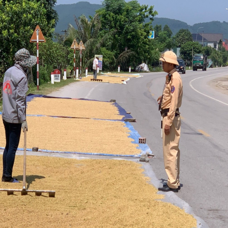 Ôtô phải đi thế nào khi nông dân chiếm đường phơi lúa? Đi ngược chiều trường hợp này có bị phạt không?