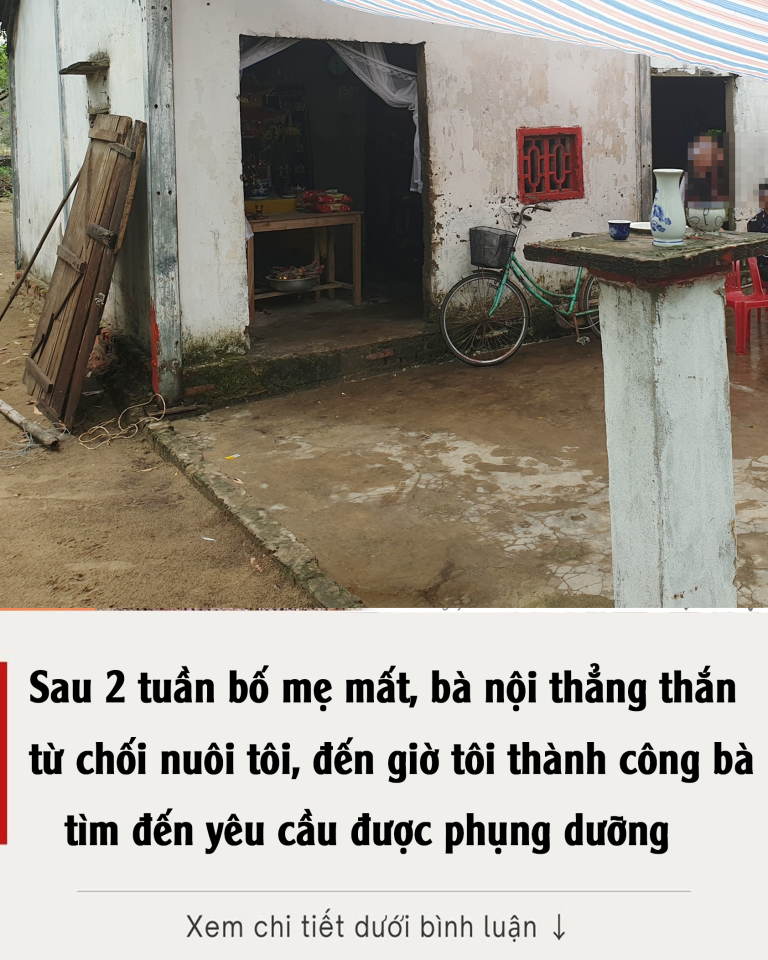 Sau 2 tuần bố mẹ mất, bà nội thẳng thắn từ chối nuôi tôi, đến giờ tôi thành công bà tìm đến yêu cầu được phụng dưỡng