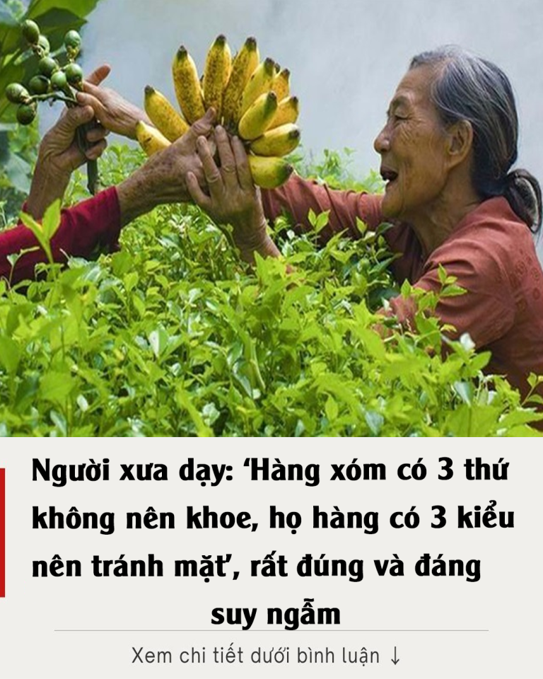 Người xưa dạy: ‘Hàng xóm có 3 thứ không nên khoe, họ hàng có 3 kiểu nên tránh mặt’, rất đúng và đáng suy ngẫm