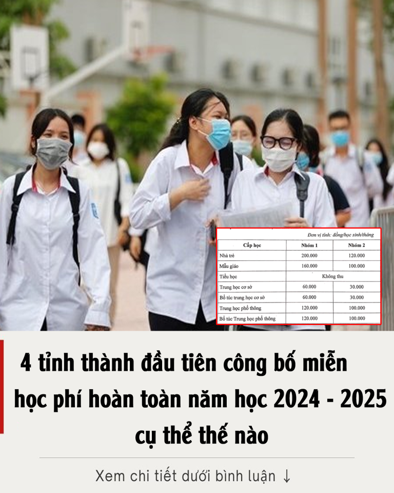 4 tỉnh thành đầu tiên công bố miễn học phí hoàn toàn năm học 2024 – 2025, cụ thể thế nào