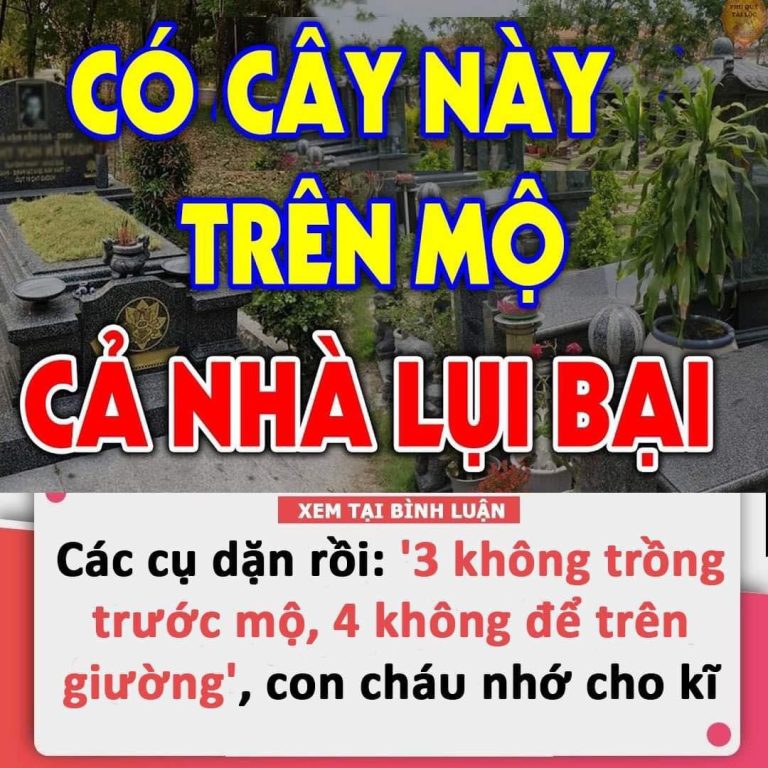 Các cụ dặn rồi: ‘3 không trồng trước mộ, 4 không để trên giường’, con cháu nhớ cho kĩ