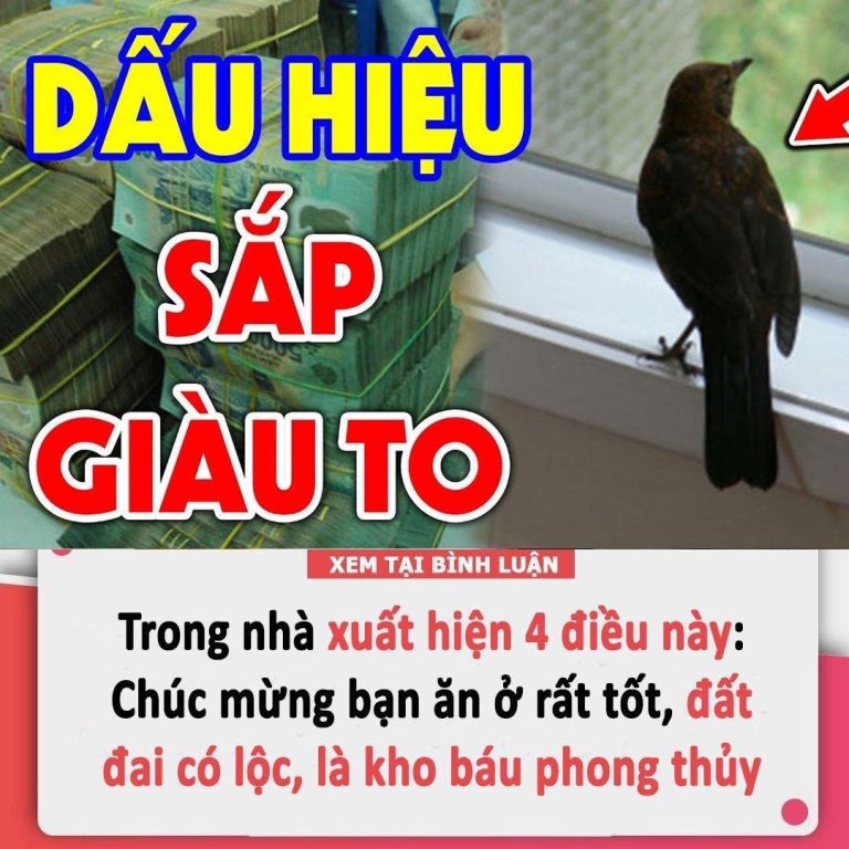 Trong nhà xuất hiện 4 điều này: Chúc mừng bạn ăn ở rất tốt, đất đai có lộc, là kho báu phong thủy