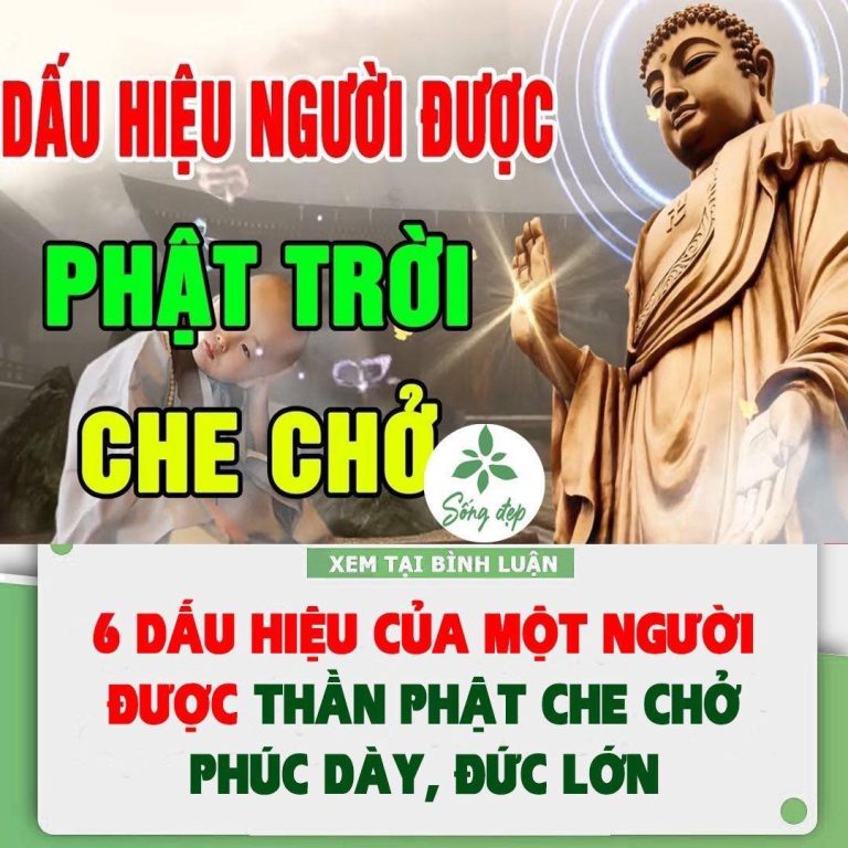 6 dấu hiệu của một người được Thần Phật che chở phúc dày, đức lớn