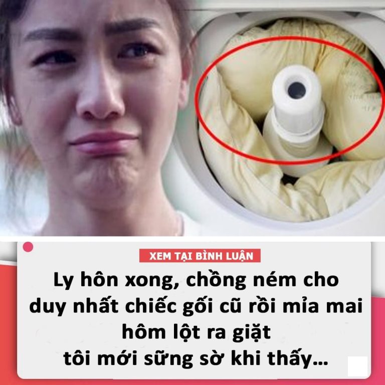 Ly hôn xong, chồng ném cho duy nhất chiếc gối cũ rồi mỉa mai, hôm lột ra giặt tôi mới sững sờ khi thấy…