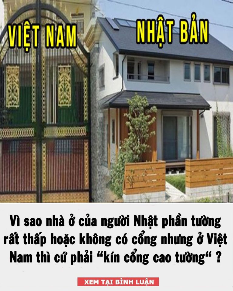 Tại sao những ngôi nhà của người Nhật phần tường rất thấp hoặc không có cổng?