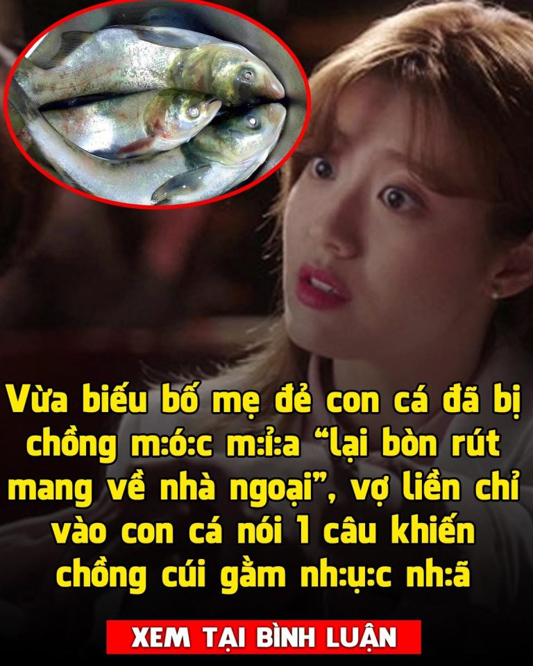 Vừa biếu bố mẹ đẻ con cá đã bị chồng móc mỉa “lại bòn rút mang về nhà ngoại”, vợ đáp trả 1 lời sâu cay khiến anh im thin thít